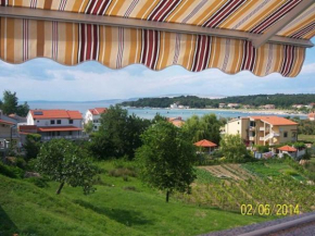 Apartments in Lopar - Insel Rab 40853